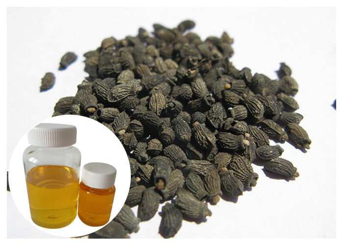 Omega 6 Natural Dietary Supplements Borage Seed Oil For Rheumatoid Arthritis Pain