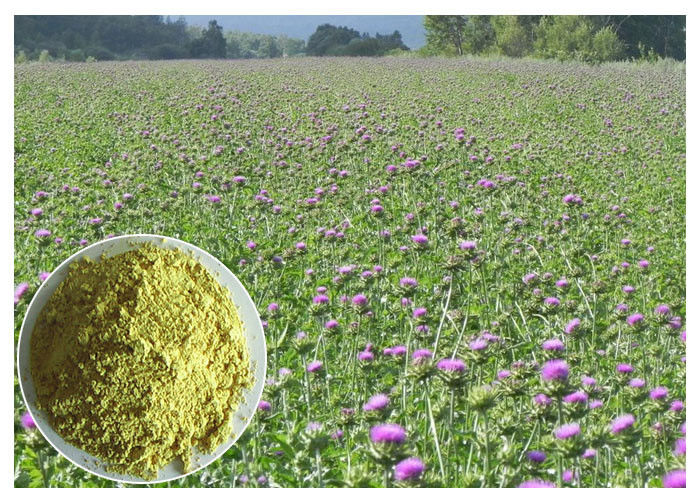 Light Yellow Herbal Plant Extract From Milk Thistle Seed Lower Blood Fat CAS 65666 07 1