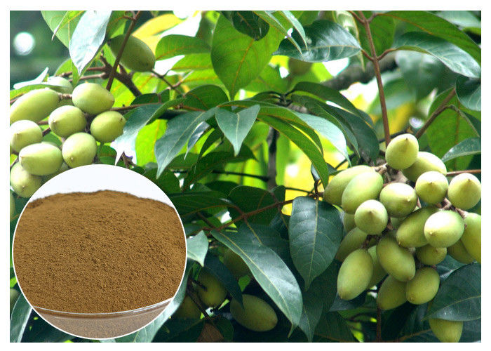 Oleuropein Natural Olive Leaf Extract Natural Ingredient With HPLC Test