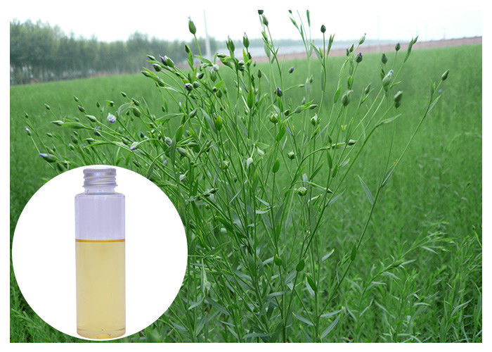 Lower Cholesterol Natural Plant Extract Oil Flaxseed Oil Liquid With ALA CAS No. 463 40 1