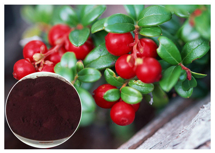 Dark Red Powder Antifungal Plant Extracts PACs From Cranberry Anti Radiation