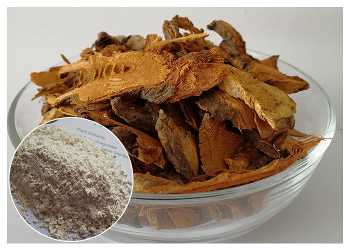 Anti Aging 99% Giant Knotweed Extract , Trans Resveratrol Supplements White Color