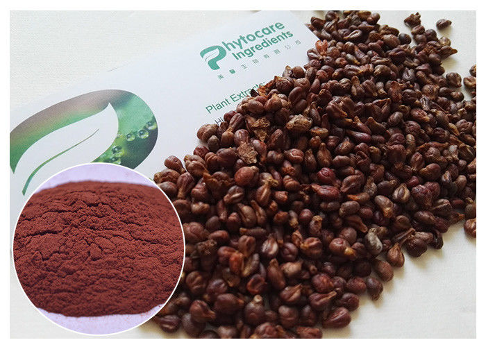 Anti Aging Of Healthy Care Grapeseed Extract , Red Grape Extract With Proanthocyanidins