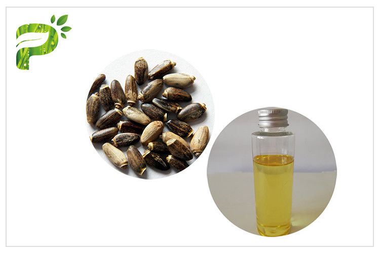 Natural Plant Milk Thistle / Silybum Marianum Oil For Pharmaceutical Field