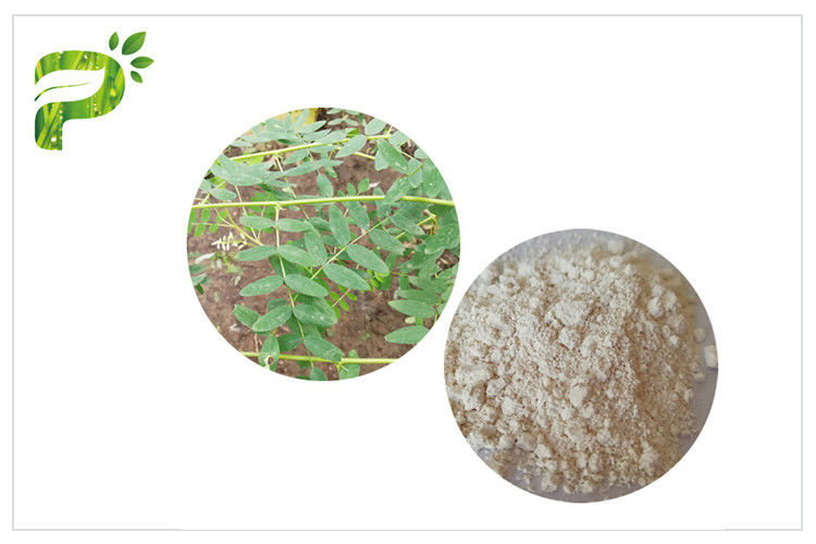 CAS 84687 43 4 Natural Dietary Supplements Astragaloside IV Astragalus Membranaceus Extract