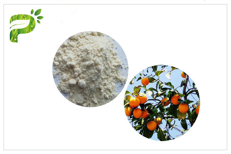 Persimmon Leaf Plant Extract Powder Ursolic Acid CAS 77 52 1 For Sports Nutrition