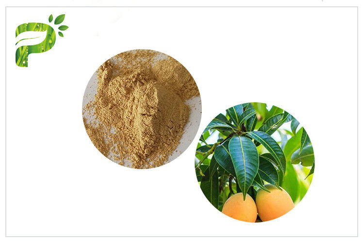 Anti- Microbial Plant Extracts Mangiferin Mango Leaf Powder CAS 4773 96 0