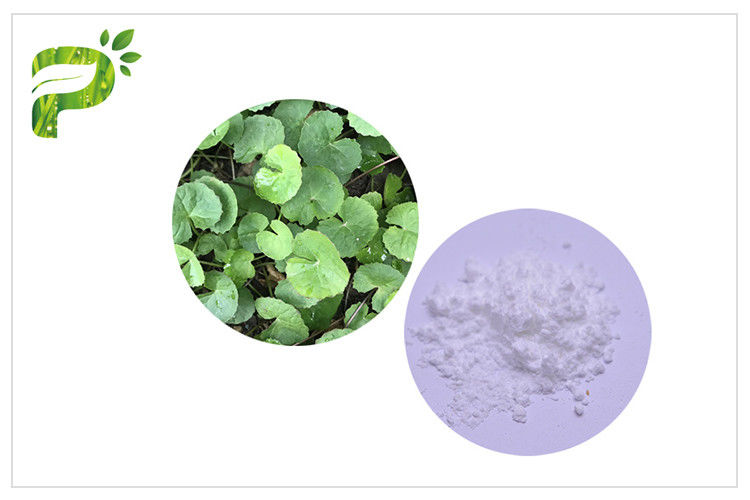 Acne Gotu Kola Powder Titrated Extract Of Centella Asiatica Anti Inflammatory Function