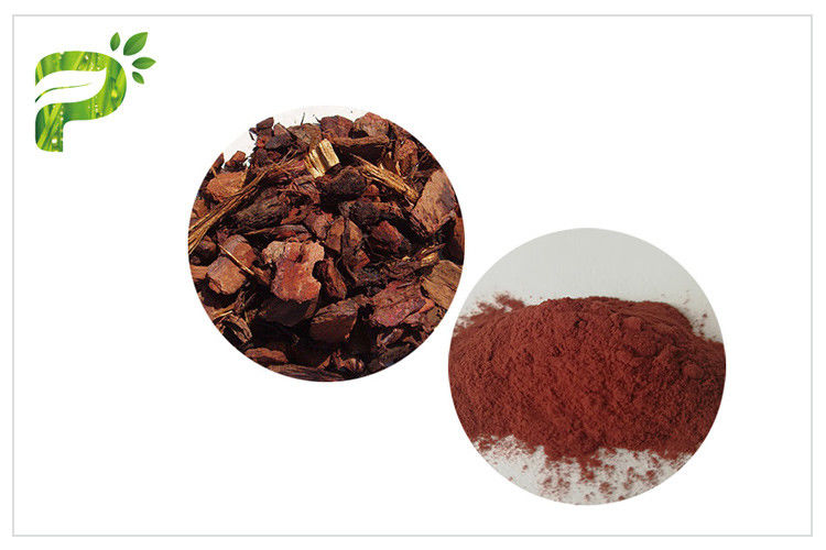 Anti Aging / Oxidation Plant Extract Powder Proanthocyanidins PACs Pine Bark Powder Dietary Supplement