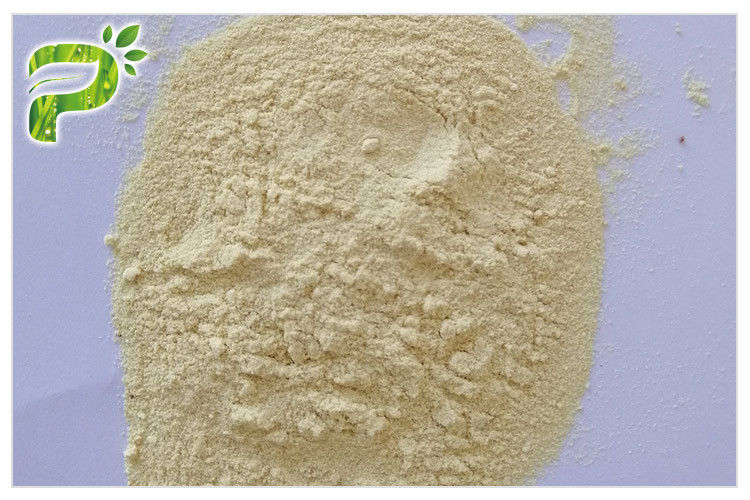 Milk Thistle Powdered Herbal Extracts Silybin CAS 22888 70 6 Preventing Liver Disorder
