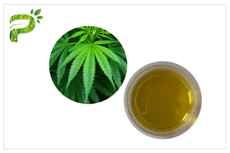 Health Food Additives Natural Plant Extract Oil Hemp Seed Cold Pressed Organic Certified