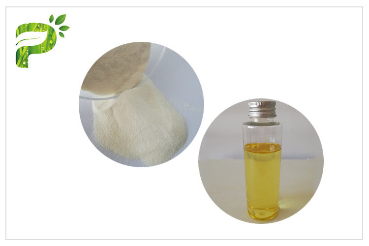 White Color Anti Oxidation Vitamin E Powder Dl-α- Tocopheryl Acetate Powder Nutritional Supplement