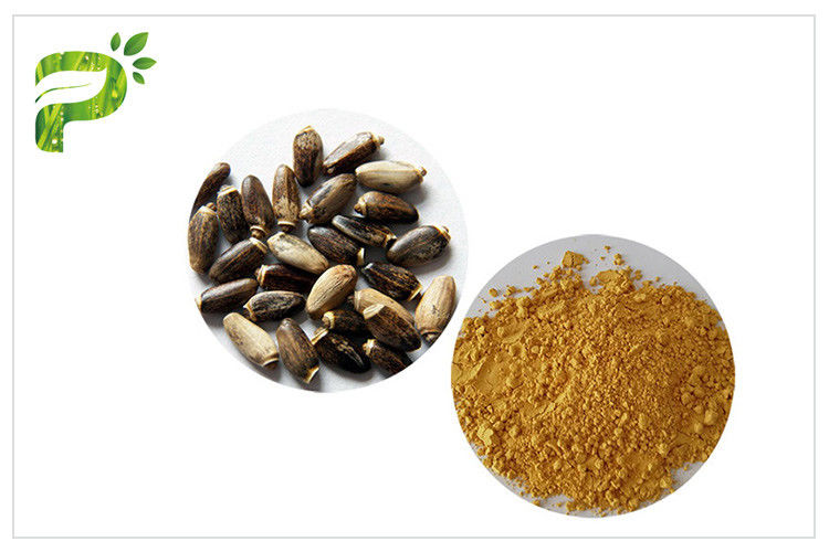 Light Yellow Plant Extract Powder Natural Ingredient Milk Thistle Extraction