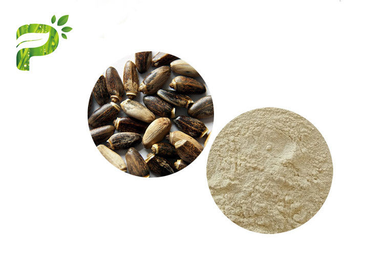 DMF GMP Certified Pure Natural Plant Extracts Milk Thistle Seed Extract Silybin 30% 90%