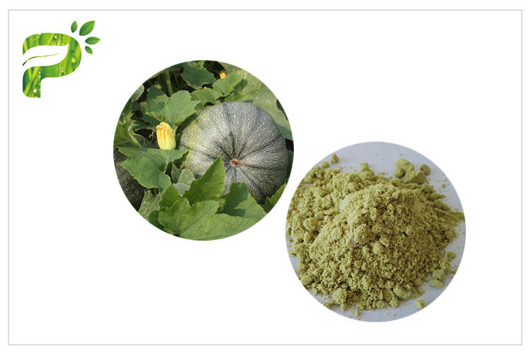 Vegan Protein 50% 60% Organic Pumpkin Seed Protein Powder