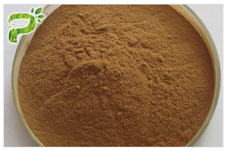 Ginseng Root Extract 20(R)-Ginsenoside Rh2/rg 3 Anticancer