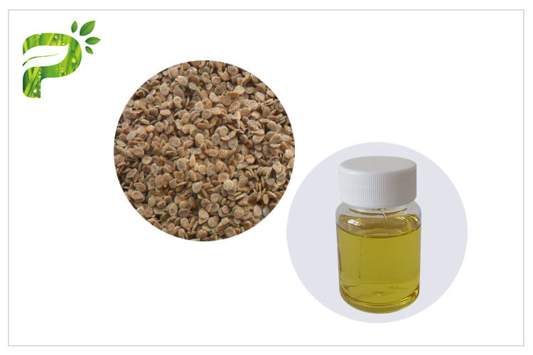 Anti Aging Tomato Seed Oil Cold Pressed Natural Plant Extract Fatty Acids Ingredient