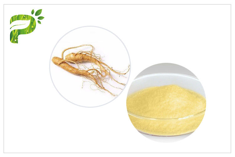 Ginsenosides Ingredient Powdered Herbal Extracts Panax Ginseng For Dietary Supplement