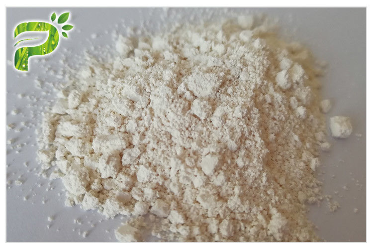 Tooth Paste Enzyme Papain Plant Extract Powder CAS 9001-73-4 White To Light Yellow Color