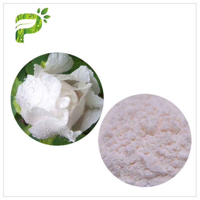 Peony Root Plant Extract Powder Paeonia Lactiflora For Skin Whitening