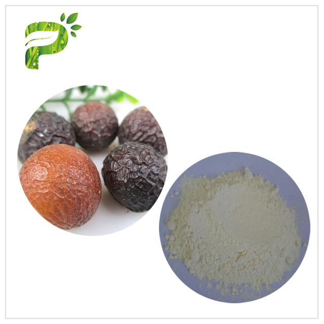 Natural Surfactant Saponins Soapnut Extract , Soap Nut Plant Extracts