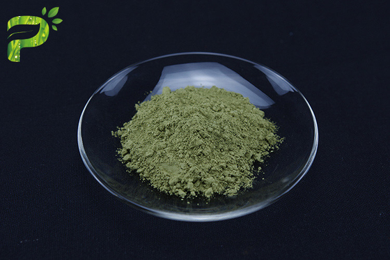 Matcha Green Tea Powder From Camellia Sinensis Leaves