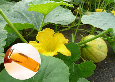 Food Grade Natural Plant Extract Oil Cold Pressed Pumpkin Oil Prostate Protection