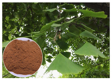 Natural Plant Extract Prevent Cardiovascular diseases Ginkgo Biloba Leaf Extract EP Grade
