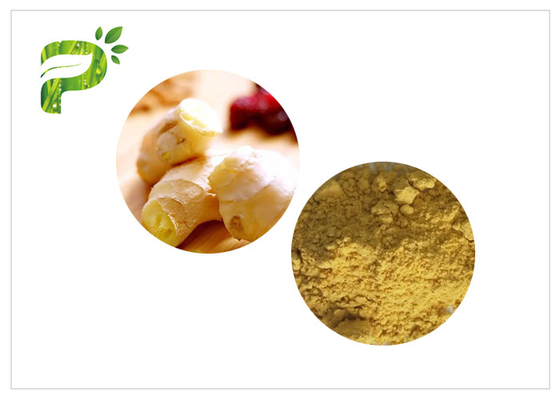No Mildew Natural Fruit Powder 8.0% Ash 80 Mesh Ginger Tea Powder